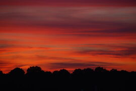 "Wolkenstriche am Himmel" von Carolin S.