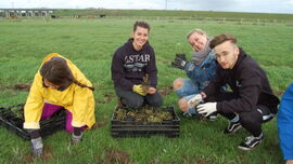 Setzen den Lang&shy;blättrigen Ehren&shy;preis in die Pflanz&shy;löcher: (v.l.) Keona, Pia, Jella, Tim und Florian. Foto: Rosenburg / NR
